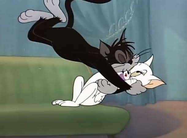 tom and jerry butch kissing - Meme Template House