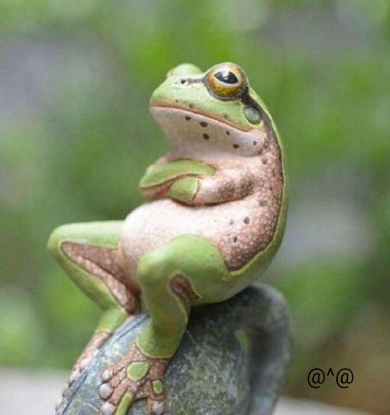 thinking frog meme template