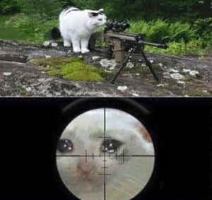 Cat Sniping Crying Cat