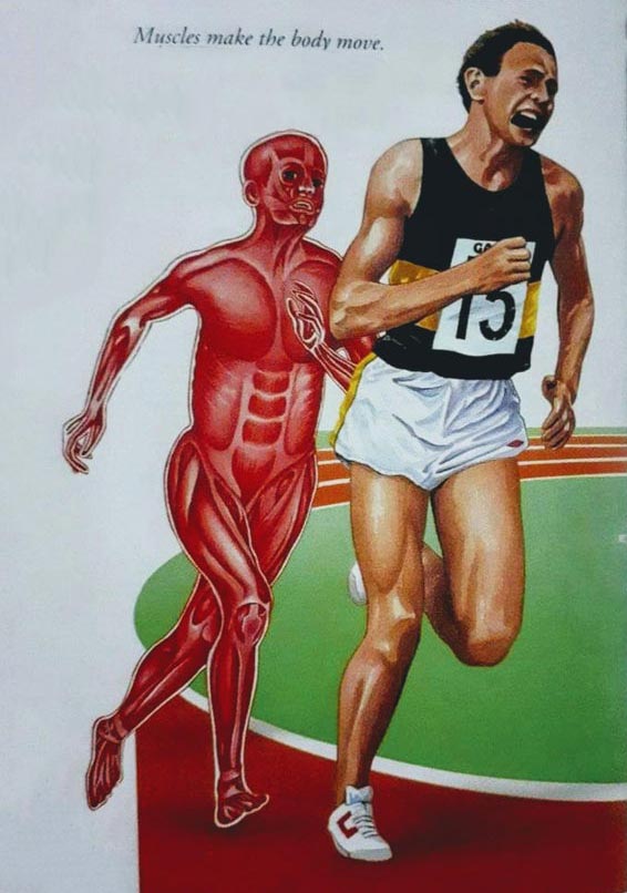 Muscle Man Chasing Runner