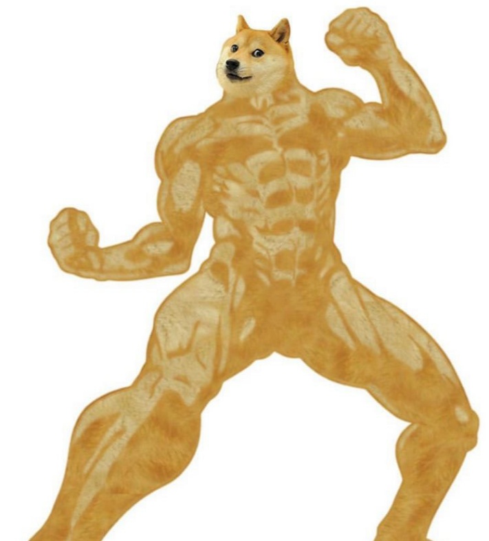 doge body builder meme template