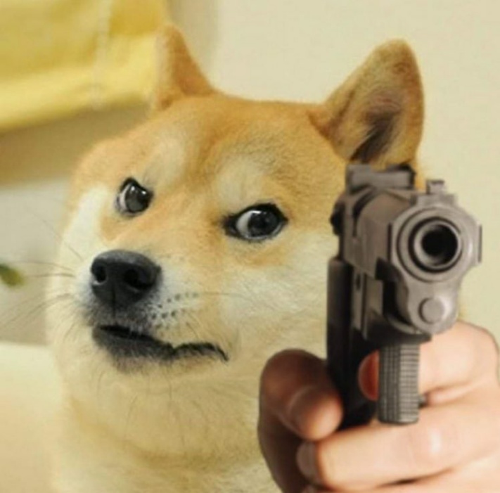 doge with gun in hand meme template