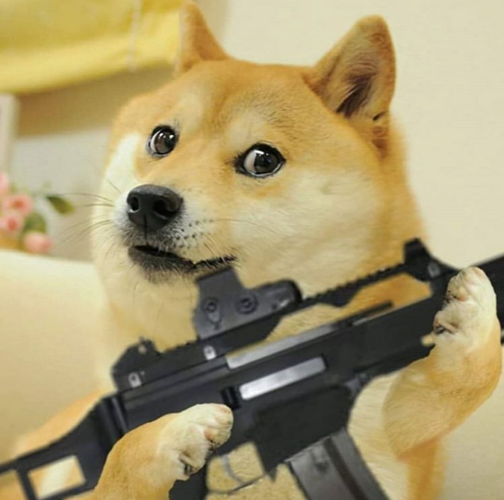 doge with riffle meme template