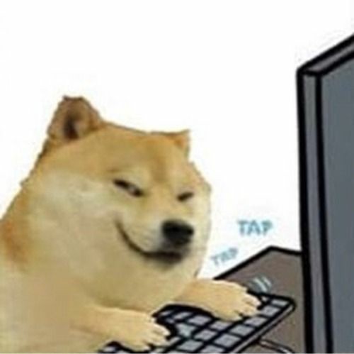 doge typing on keyboard meme template