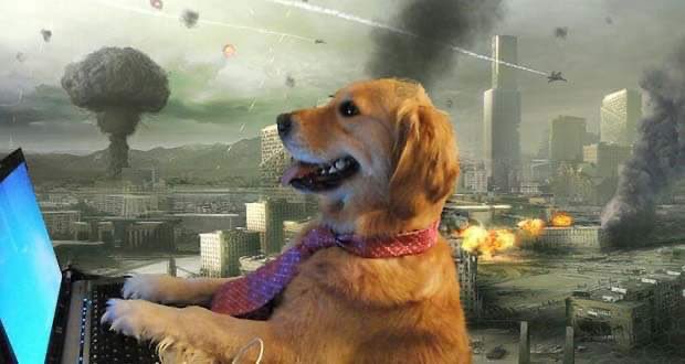 dog typing on laptop in an apocalypse meme template
